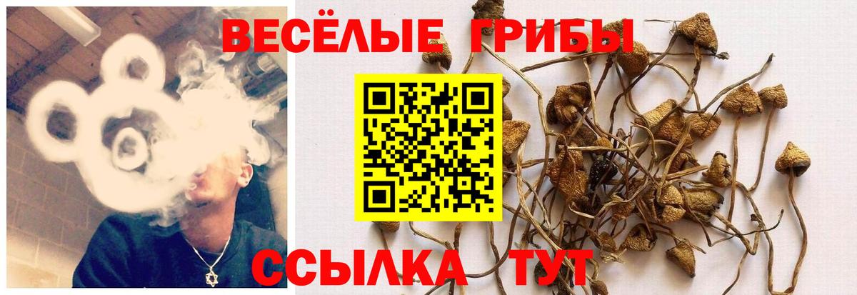 Галлюциногенные грибы ЛСД  Псилоцибиновые грибы MAGIC MUSHROOMS  Выкса  Вход с VPN 